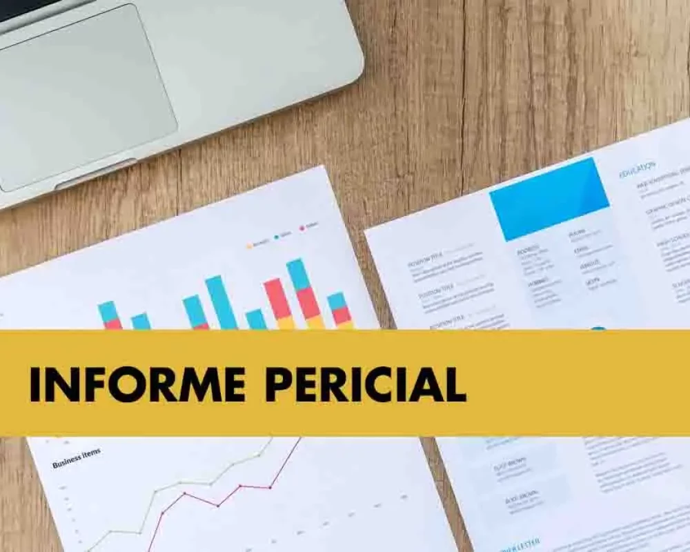 Peritos Economistas - Informe Pericial Sobre Contrato de Agencia